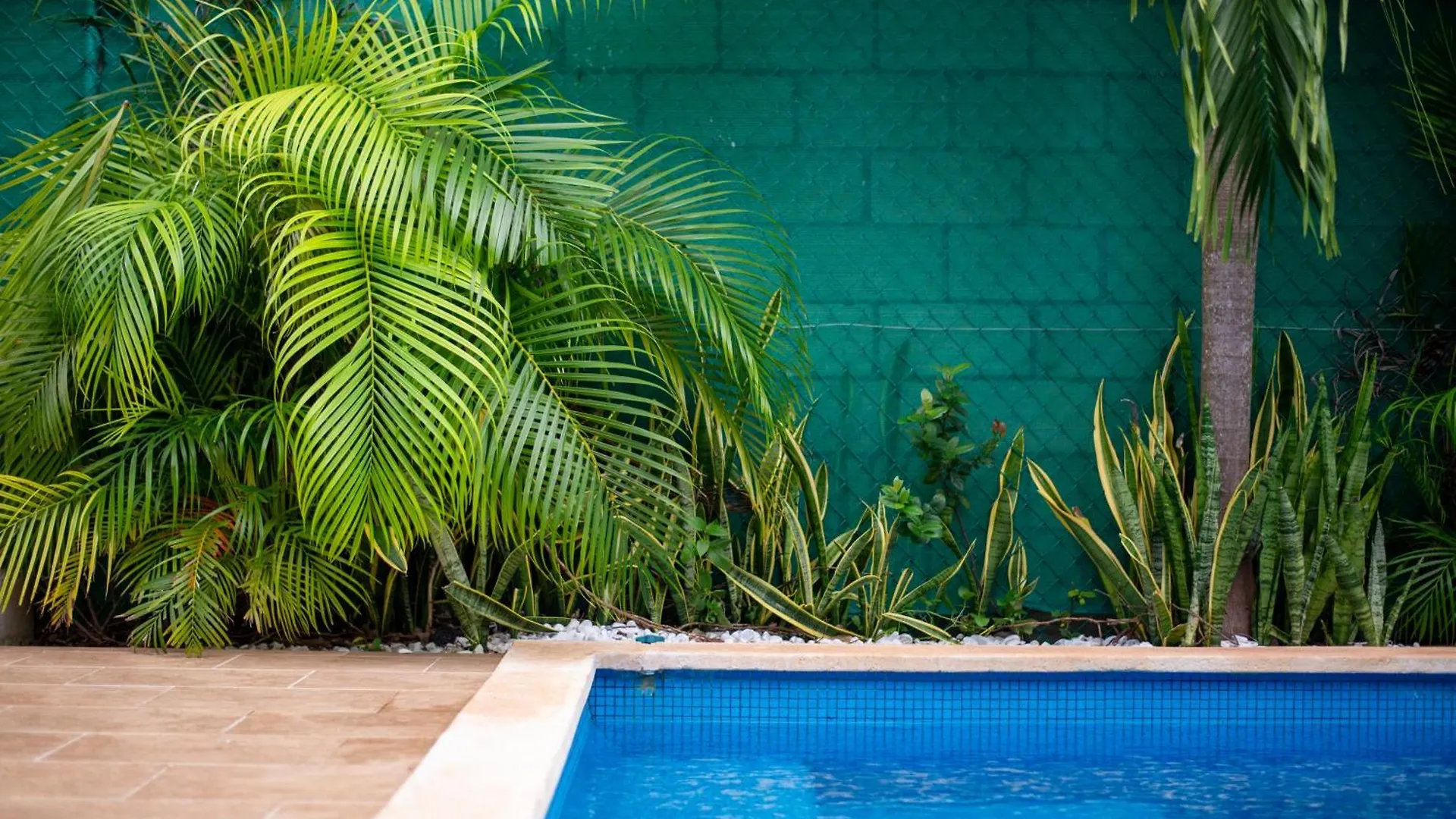 Casa Lula 5-Br Getaway In Riviera Maya Playa del Carmen 0*,  Mexique