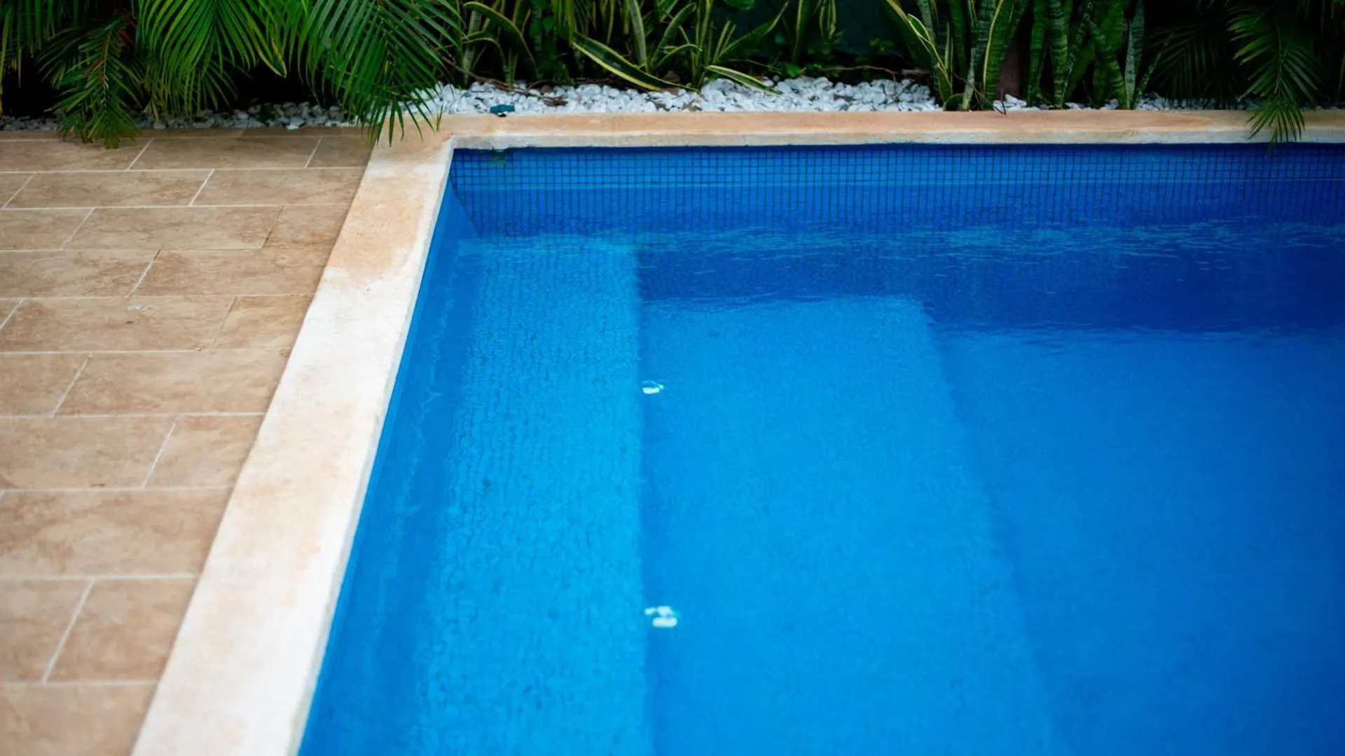 Hébergement de vacances Casa Lula 5-Br Getaway In Riviera Maya Playa del Carmen Mexique
